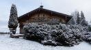 Silvester beim Sattelbauer in Flachau._24